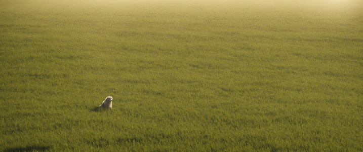 JetDiffusion_00110_ (1).png